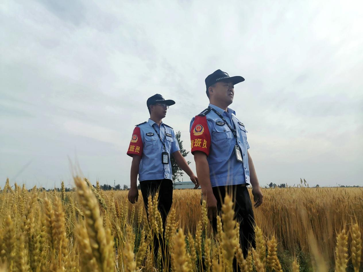 图片默认标题_fororder_图片6