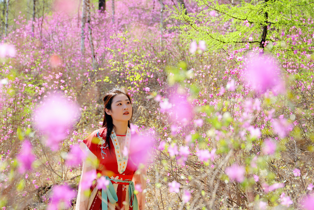 书写兴安岭上的“诗和远方”_fororder_1