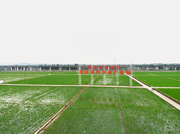 （张）世界你好，我是眉山｜走进永丰村_fororder_永丰村-摄影-谭寿康（1）