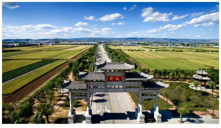 柳林酒文化藝術節特輯丨一杯酒裏的相遇 深度解析“千古才子”蘇軾與柳林酒的不解之緣_fororder_圖片6