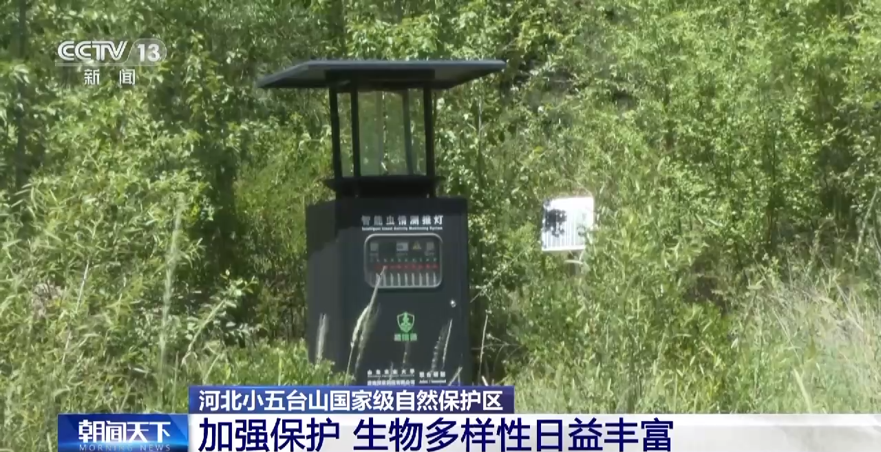 褐马鸡、珍稀兰花……河北小五台山国家级自然保护区生物种类多