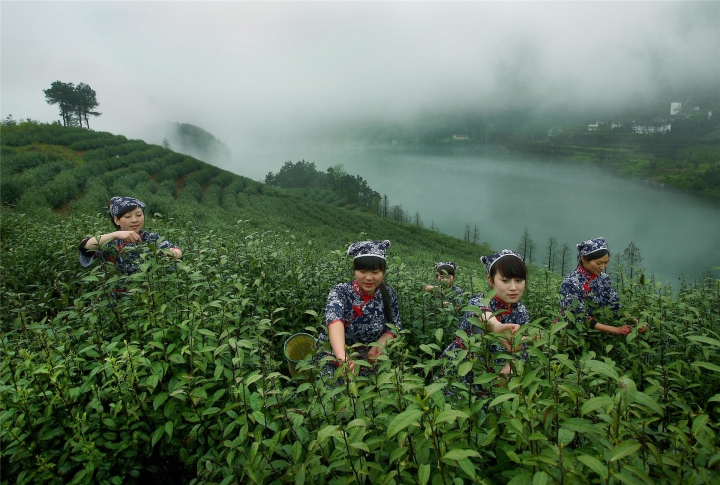 【“千万工程”二十年】婺城绘就村美人和共富的动人画卷_fororder_1685947337294_647d83c9d0ff8e0001f5c319