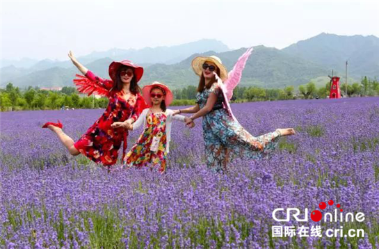 【三秦大地 西安】大西安春游季 长安区推出9大赏花活动