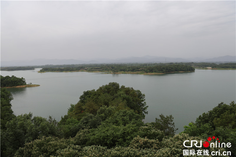 Belt and Road International Youth Experience Team Arrives at Uniquely Charming Nanwan Lake_fororder_圖片7