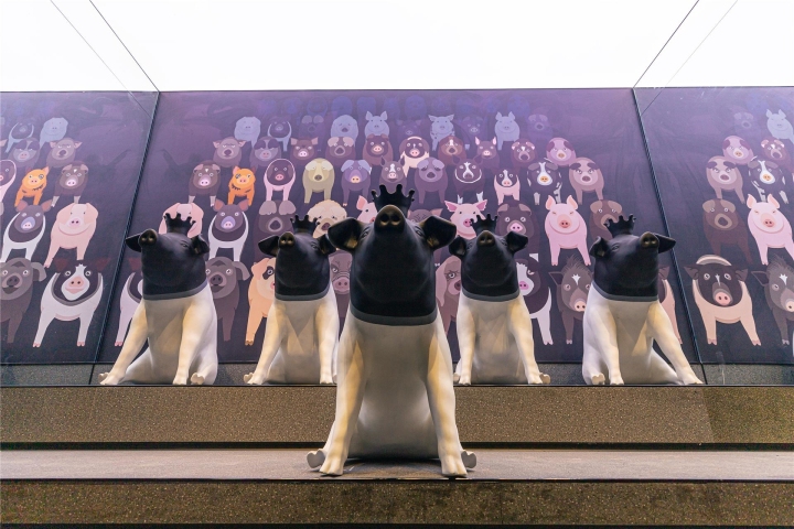 【“千万工程”二十年】婺城绘就村美人和共富的动人画卷_fororder_1685947336927_647d83c8d0ff8e0001f5c317