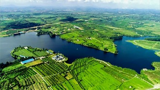 山东莒南：茶文旅融合 打造乡村振兴“沂蒙样板”