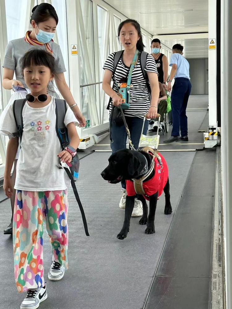 福州航空真情服务两只导盲犬与其主人们顺利出行_fororder_图片10
