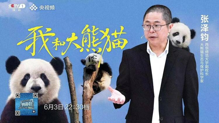 （转载）西华师大副校长张泽钧央视开讲：大熊猫才是真正的“吃货”！