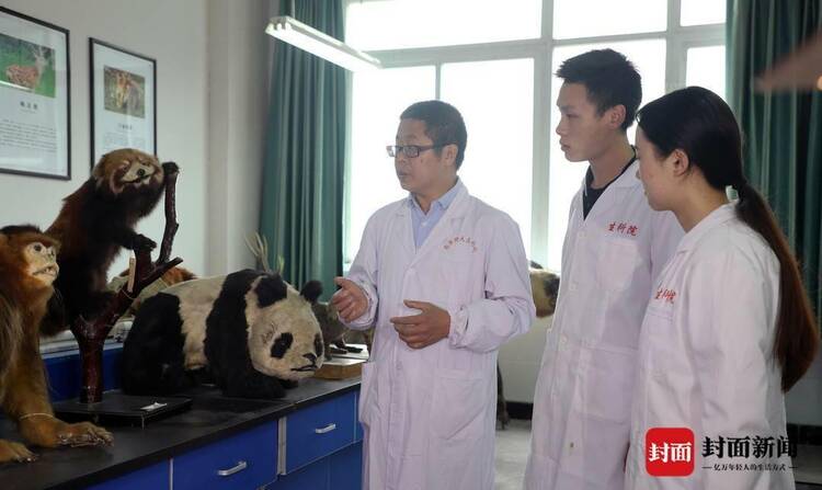 （转载）西华师大副校长张泽钧央视开讲：大熊猫才是真正的“吃货”！