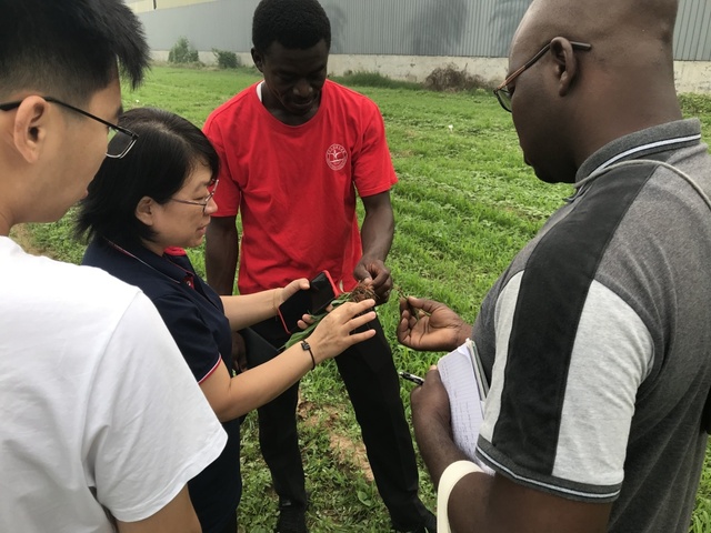 资讯有故事｜中国农业大学“中非科技小院”：助力非洲农业发展