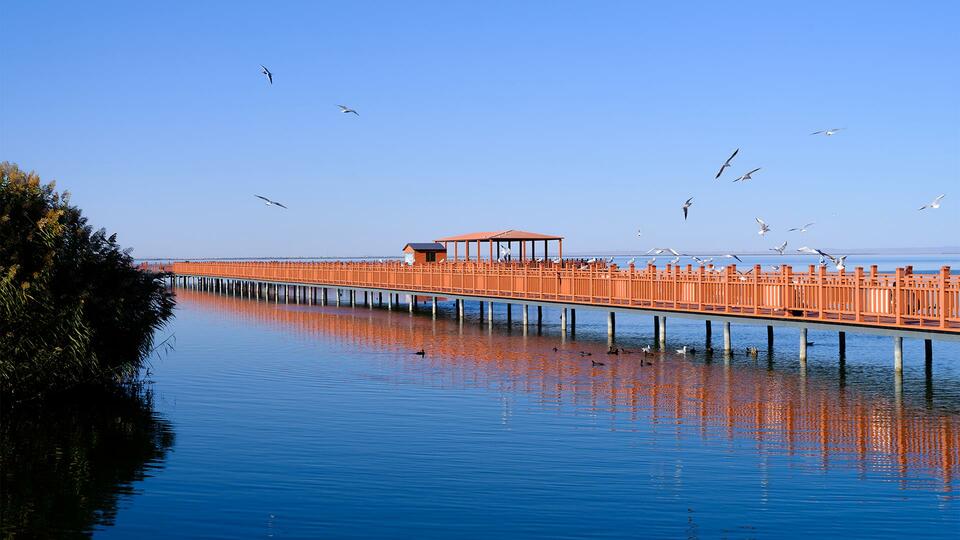 时政Vlog丨在乌梁素海，看河套居民如何养“肾”气