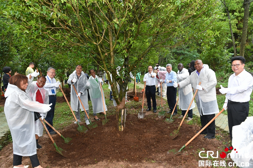 On Journey of Pursuing Green Development, More than 20 Diplomats in China Embarks on a Trip to Experience Colorful Ecological Civilization of Guizhou_fororder_图片10