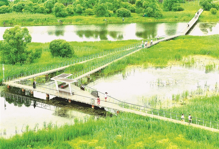 哈尔滨大剧院湿地风光艳