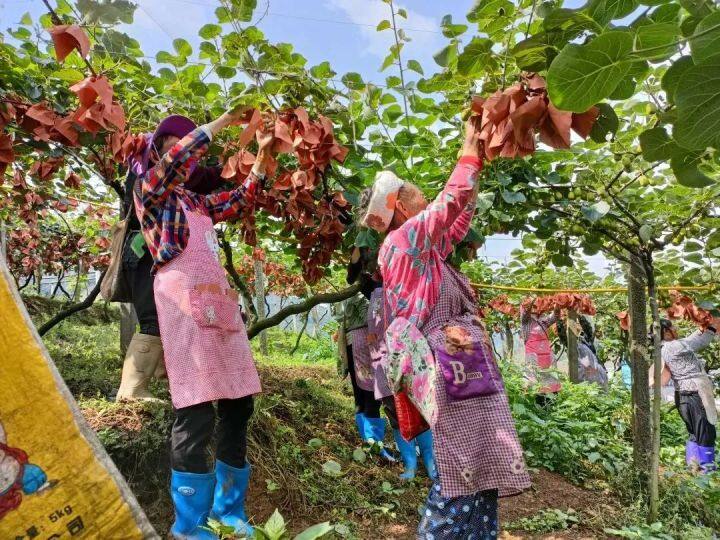 坐着高铁看凉都 | 乘高铁，一颗“红心”走天下