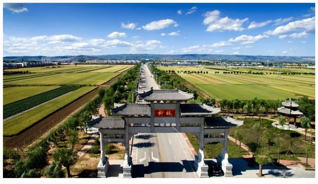 柳林酒文化艺术节特辑丨“以酒为媒” 共谋发展_fororder_图片1