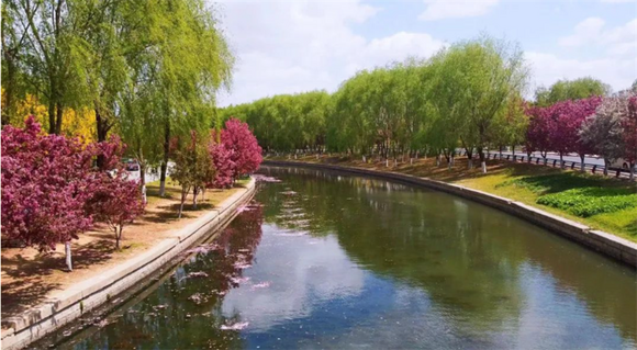 （文旅专题）沈阳：处处花开 时时向阳