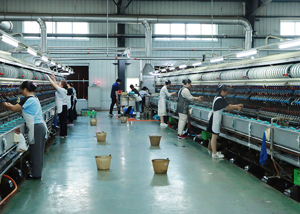 （张）宜宾高县：蚕桑产业蓄势“化蝶” 绿叶银丝织就“致富路”_fororder_精品蚕丝走向世界-摄影-罗景萍