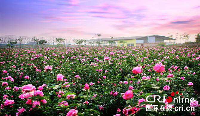 湖北枣阳端出春季旅游大餐 开启全域旅游大幕