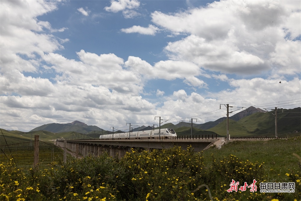 张掖：高温来袭 在山丹马场尽享22℃的夏天_fororder_2