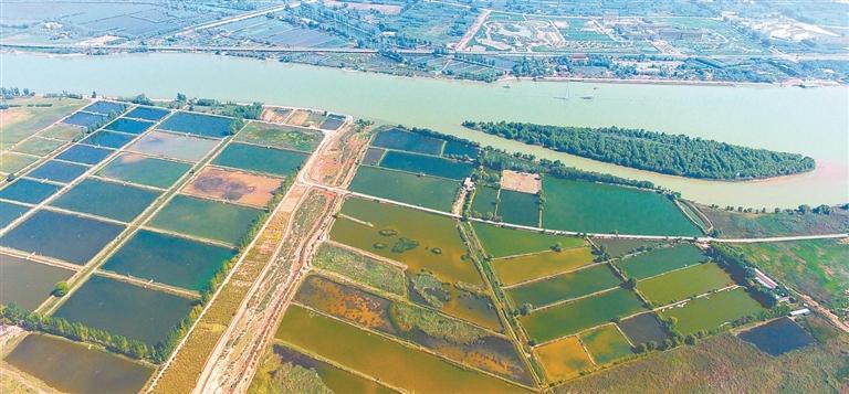 【生態】生態會客廳 幸福宜居地 ——臨夏永靖太極島濕地保護見聞_fororder_1