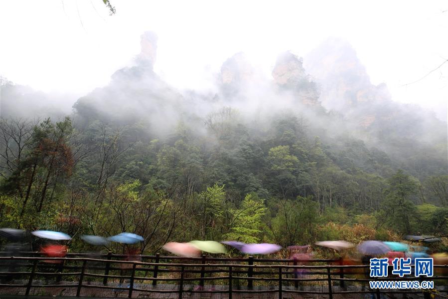 張家界：雲霧繚繞畫中游