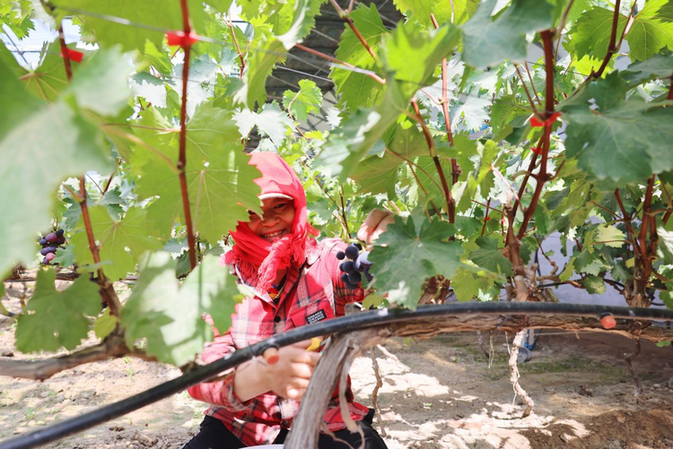 圖片默認標題_fororder_圖片12