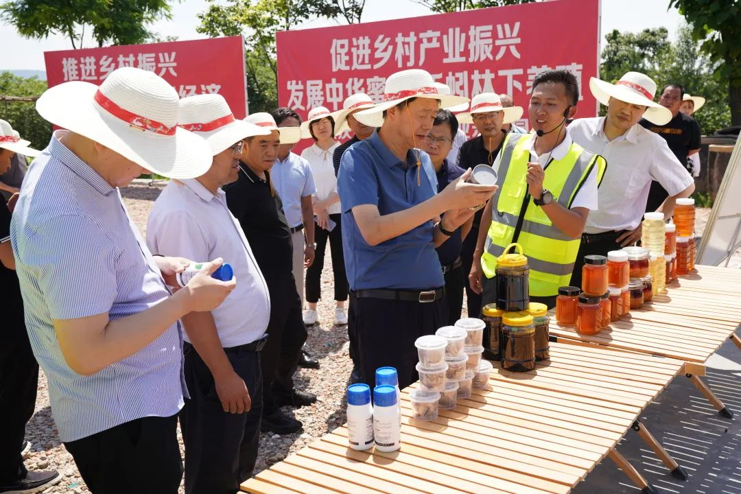 西安市灞桥区组织召开发展农村产业壮大集体经济工作现场观摩会_fororder_图片1