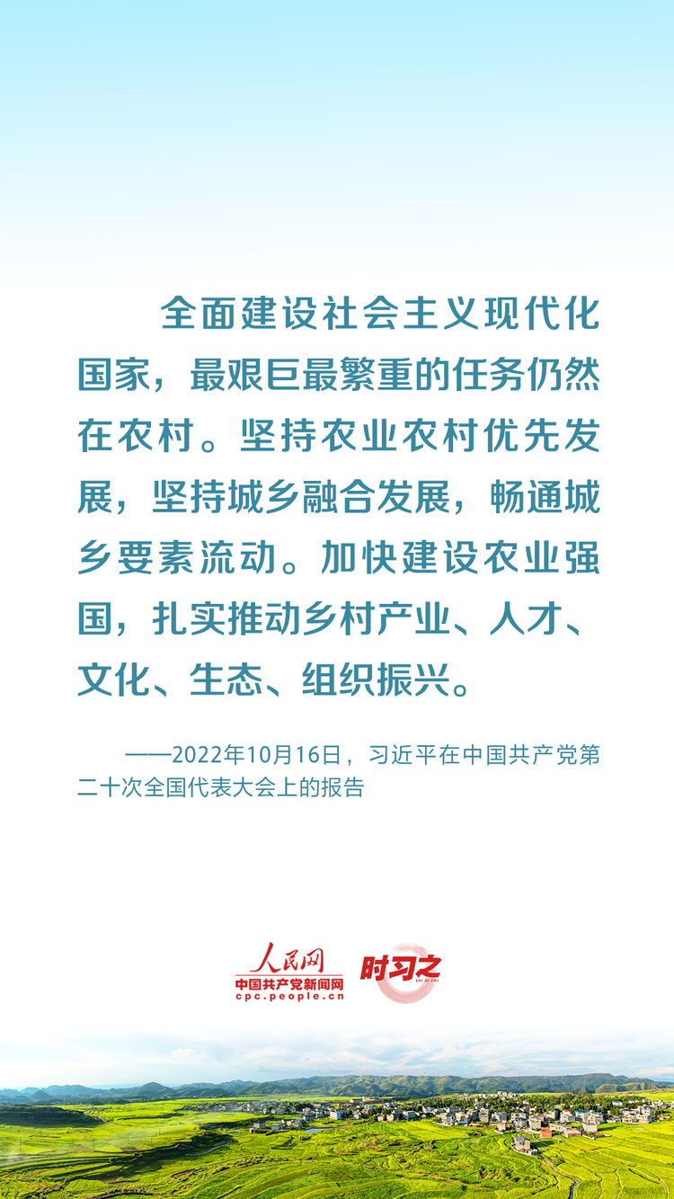 总书记要求持续推进“千万工程”——乡村之美｜把乡村振兴战略这篇大文章做好
