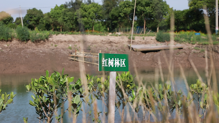 乡村之美丨连续三年上榜全国“超亿元村” 台州三门这个村子是怎么做到的_fororder_1689039562144_64acb2ca32e8f5000153181f
