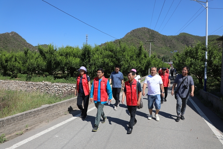 图片默认标题_fororder_农业科技特派员一行人深入田间地头 摄影 耿晓静