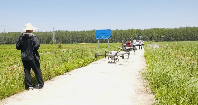 蚌埠市五河縣新集鎮：夏管農田有助力 植被無人機展開“科技之翼”_fororder_圖片3