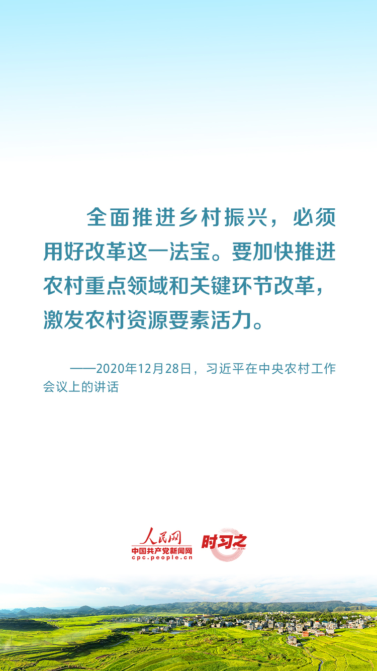 总书记要求持续推进“千万工程”——乡村之美｜把乡村振兴战略这篇大文章做好