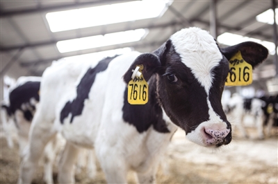 蒙牛集团全面打造乳业绿色低碳 可持续发展的示范标杆