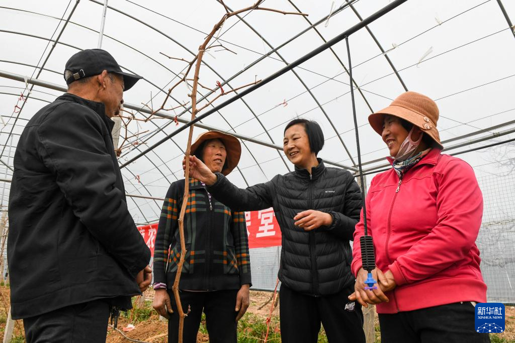 “山東屋脊”沂源探索全鏈條“鄉村振興策”_fororder_4
