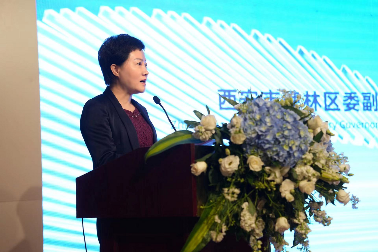 Diplomats Stationed in China Visit Beilin District, Xi'an_fororder_图片10