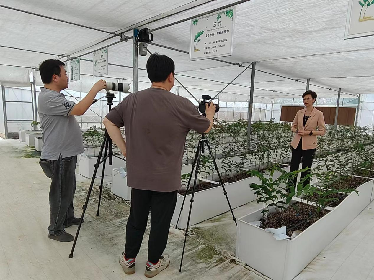 《榕知中国》走进湖南邵东 为泰国观众讲述中国百强县的产业故事_fororder_图片12