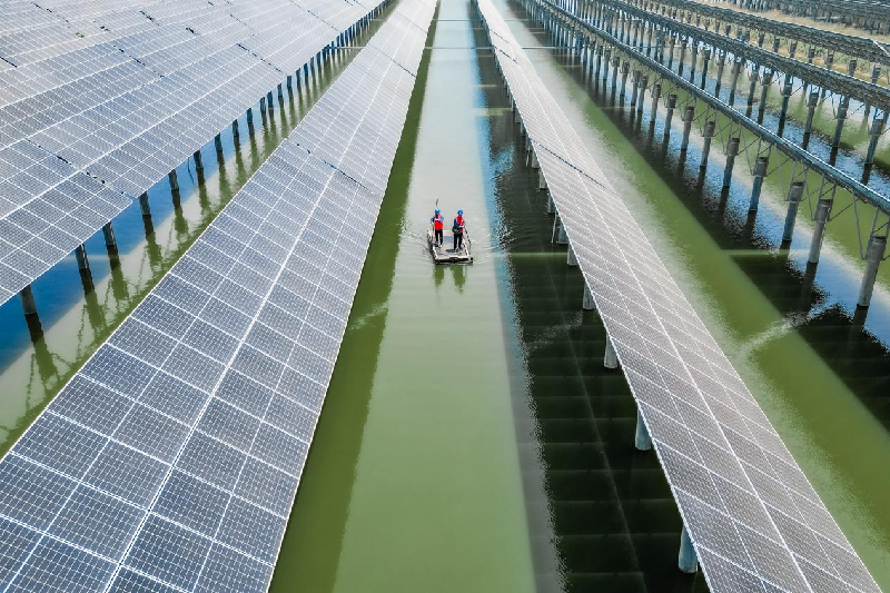В городском уезде Лайчжоу города Яньтай «взаимодополняемость рыболовства и солнечной энергии» способствует «зеленому» развитию_fororder_图片9