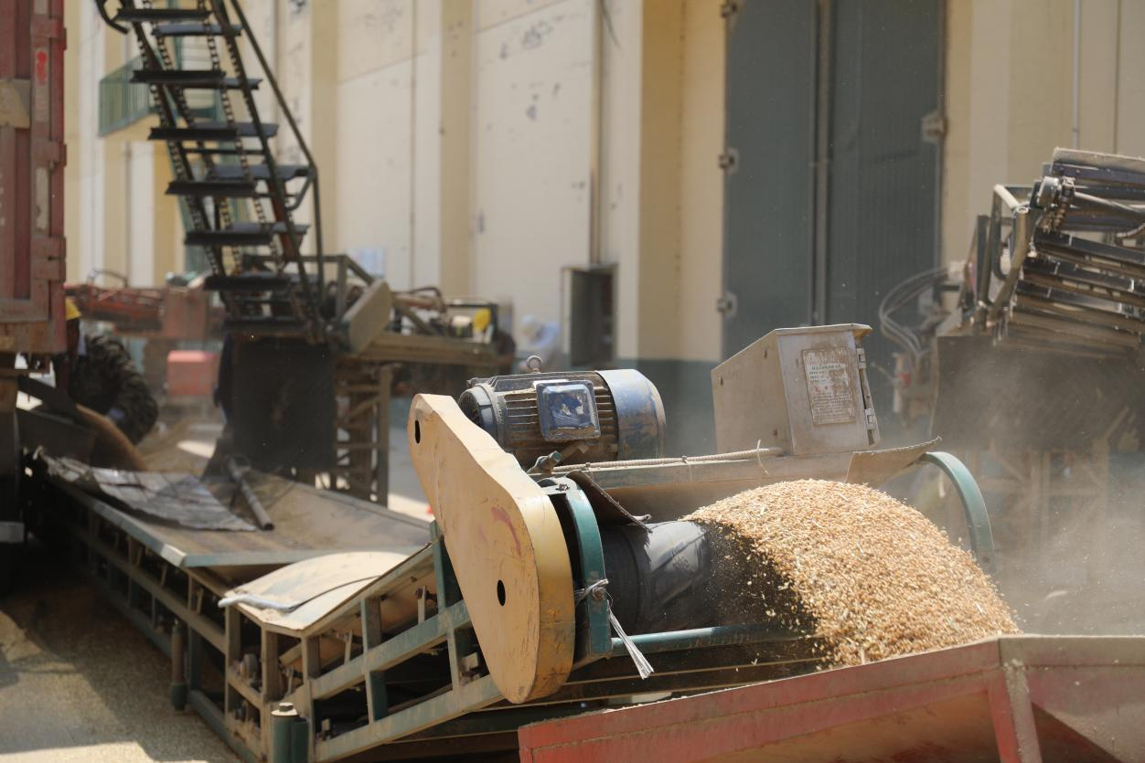 邯郸复兴区：园博园里鸟蹁跹_fororder_图片5