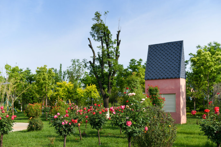 西安航天基地:持續推進生態文明建設 打造高品質發展的“綠色”引擎_fororder_圖片2