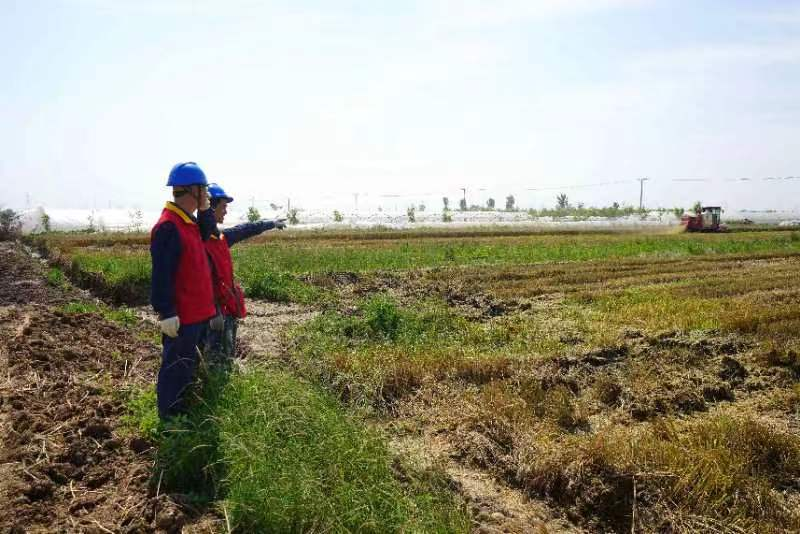 国网陕西电力：“三夏”农忙 电力护航_fororder_图片8