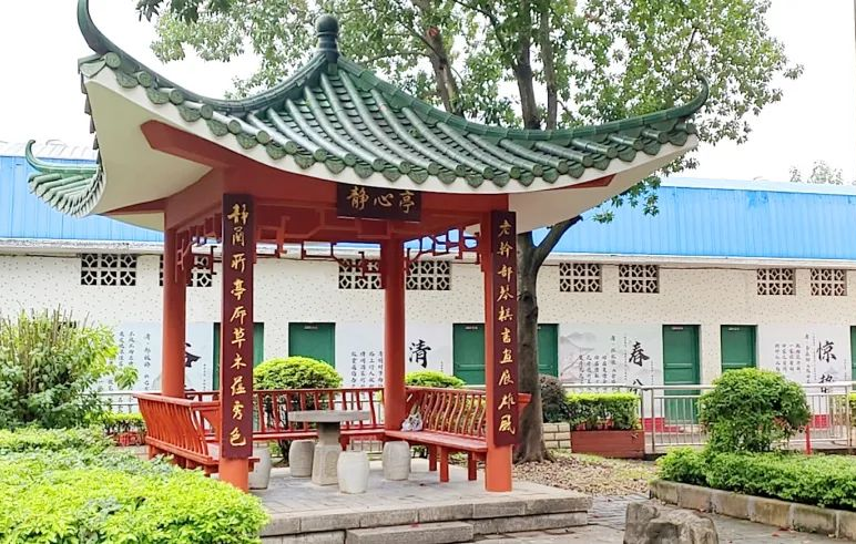 广西柳州：党建引领聚合力 军休服务“零距离”_fororder_图片3