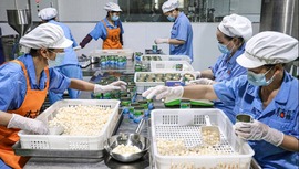  Jiangxi Nanfeng: Small golden eggs "hatch" into a big industry