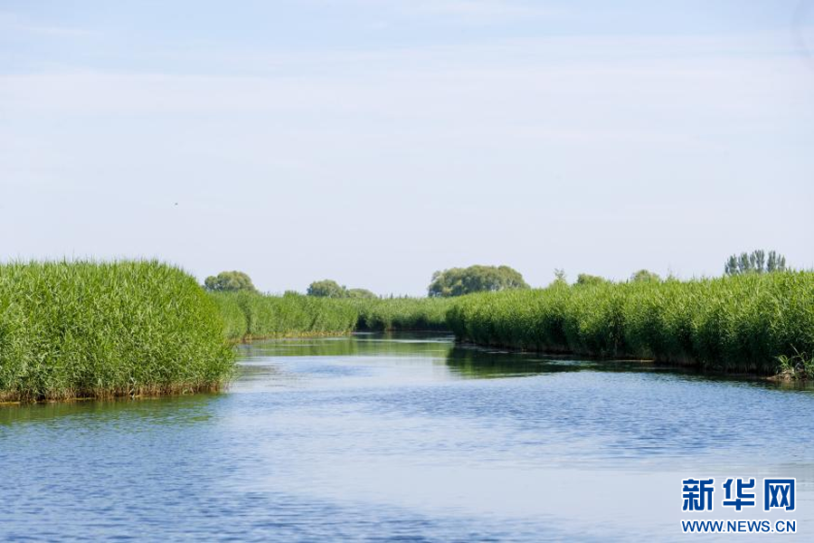 图片默认标题_fororder_2