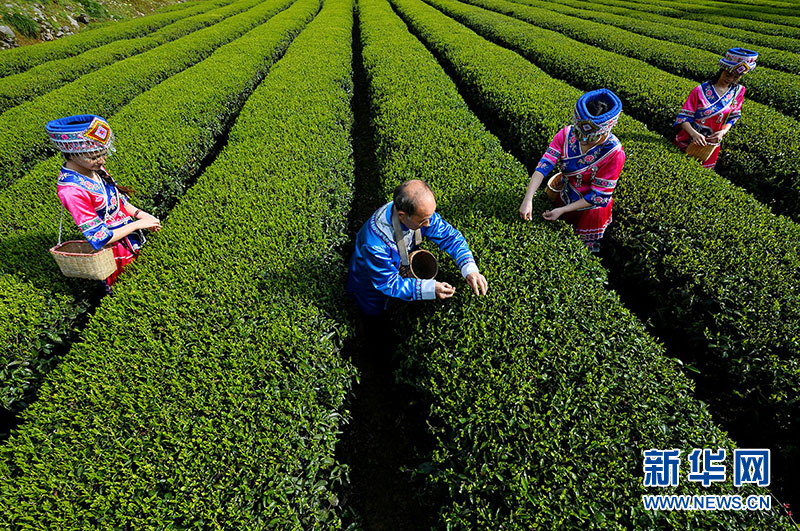 【恩施州】【大美荆楚·灵秀湖北】湖北恩施：非遗品牌焕发活力