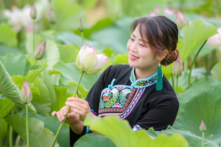 广西西林：夏日的荷花别样红