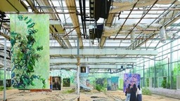南京荒野艺术展开幕
