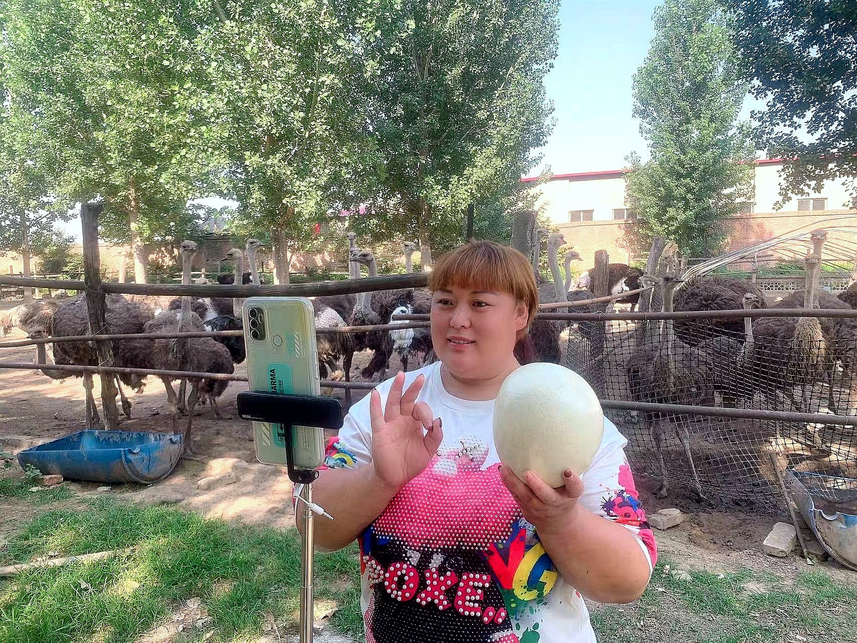 图片默认标题_fororder_4