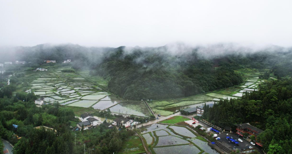 【原創】重慶石柱·冷水第八屆莼菜産業發展大會舉行_fororder_微信圖片_20230718100018