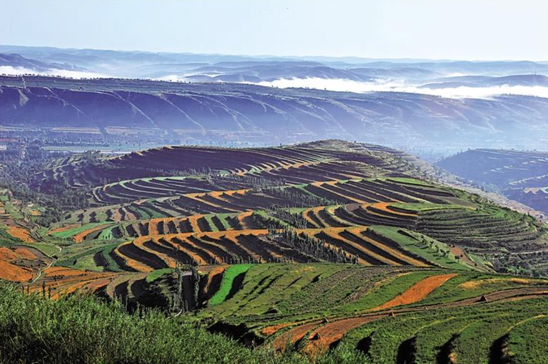 图片默认标题_fororder_截屏2023-06-21 09.41.17