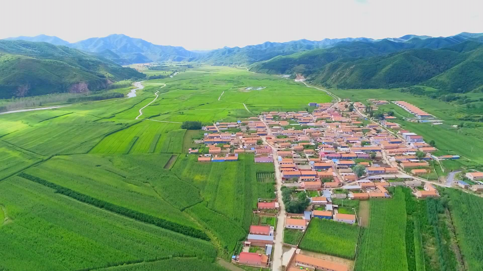 图片默认标题_fororder_4